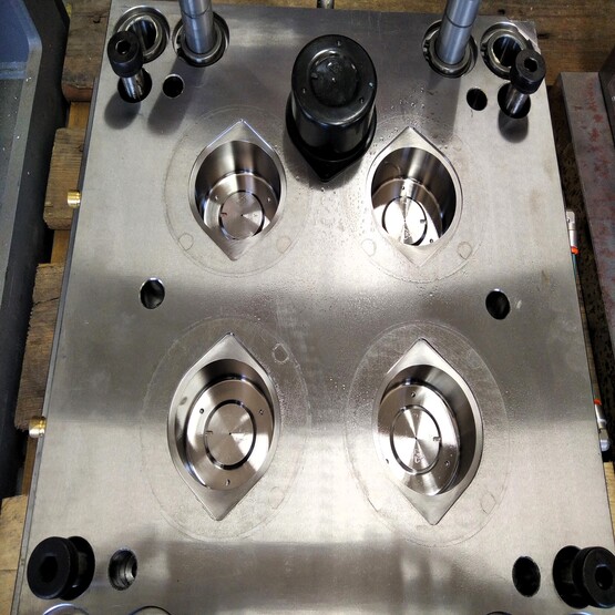 MOTLLES MOSTRES COSMETICA