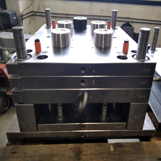 MOTLLES MOSTRES COSMETICA