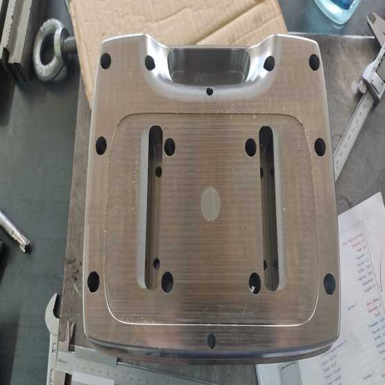 MOTLLES MOSTRES SANITAT INJECCIÓ